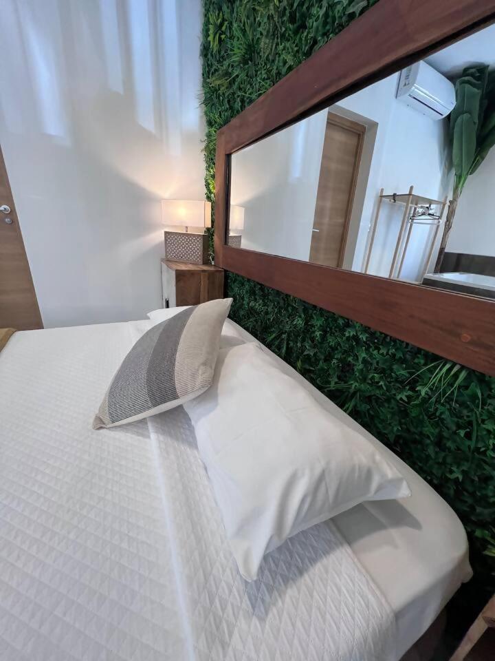 Urban Premium Jacuzzi Estudio Centrico Alicante Dış mekan fotoğraf